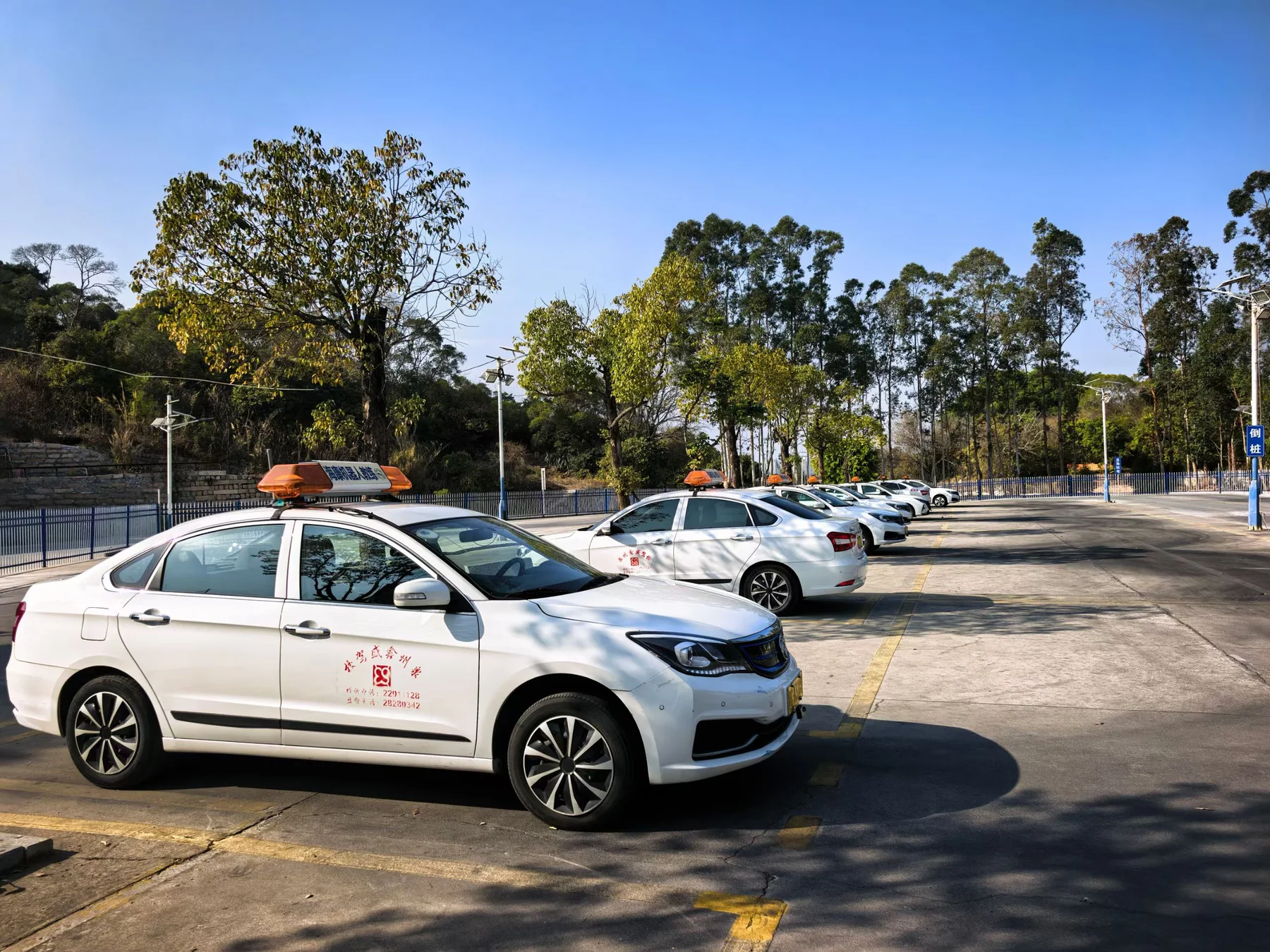 阳光下整齐停放的鑫盛驾校教练车